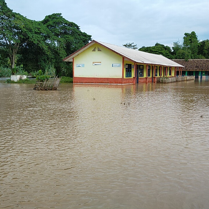 Banjir di Oku Selatan, Sawah Seluas 3,5 Hektar Terancam Gagal Panen