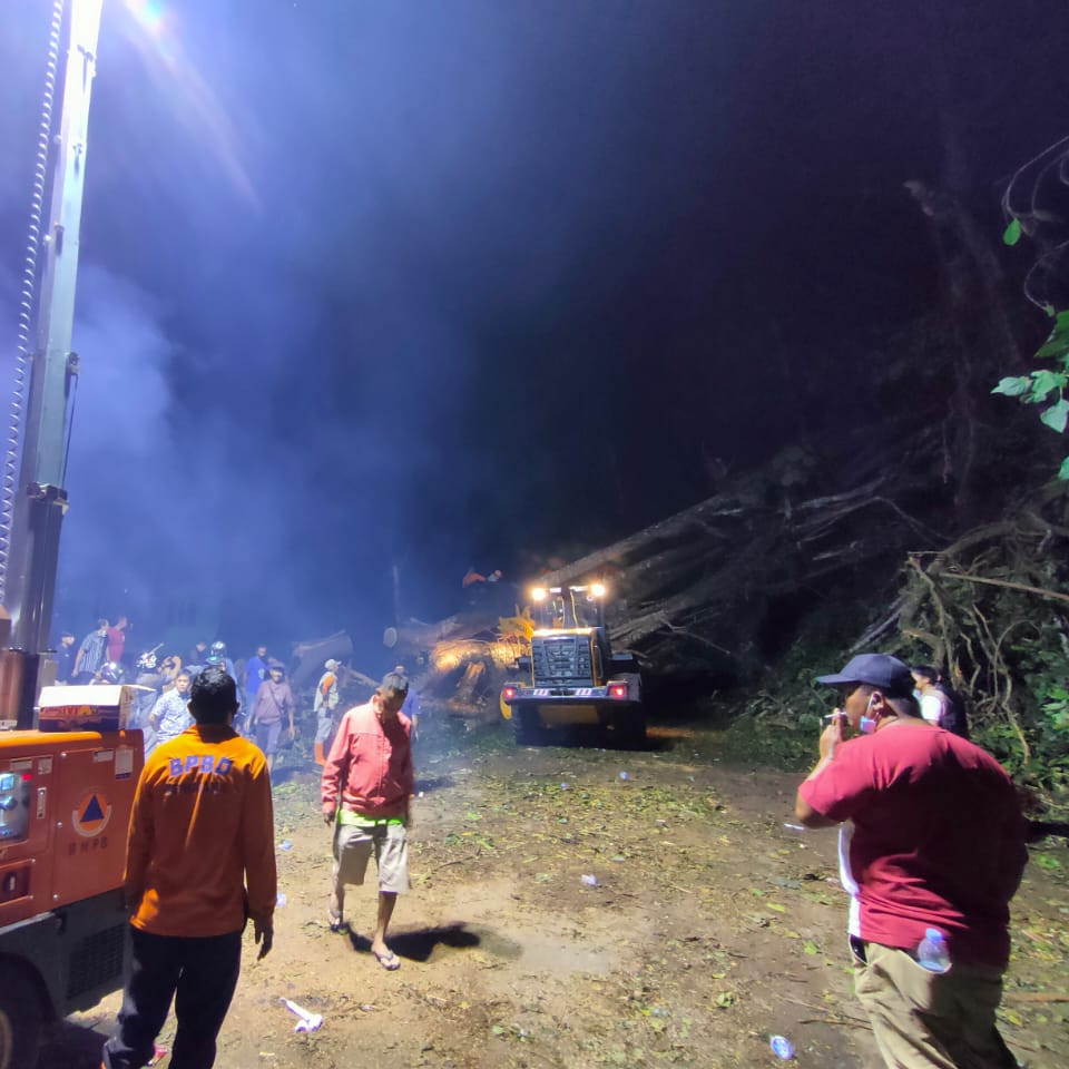 Angin Kencang Picu Pohon Tumbang, Dua Warga Meninggal Dunia