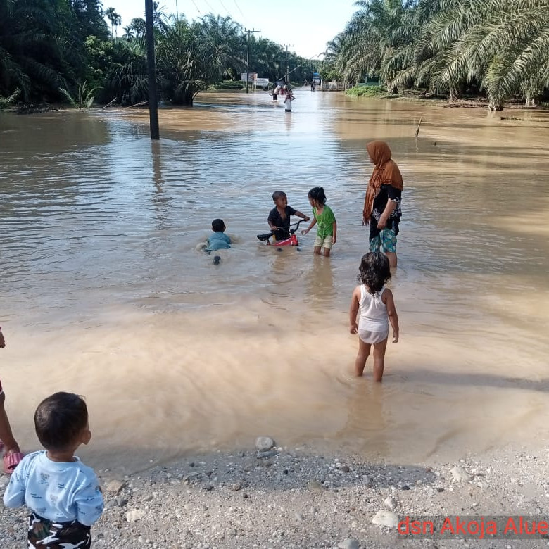 Sebanyak 300 Rumah Warga Aceh Timur Terendam Banjir