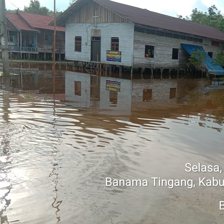 Air Masih Menggenangi Rumah Warga Pulang Pisau di Tiga Desa