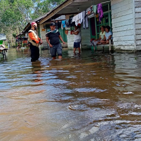 Banjir Kabupaten Sintang, BPBD: Tidak Ada Warga Mengungsi