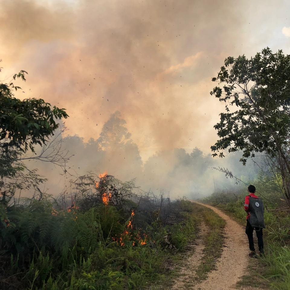 Hutan dan Lahan di Desa Sekolaq Joleq Terbakar Seluas 1,5 Hektar