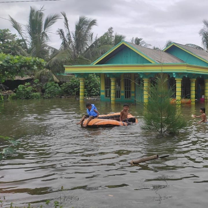 [Update] - Sebanyak 7 Kabupaten/Kota Terdampak Banjir di Kalimantan Selatan