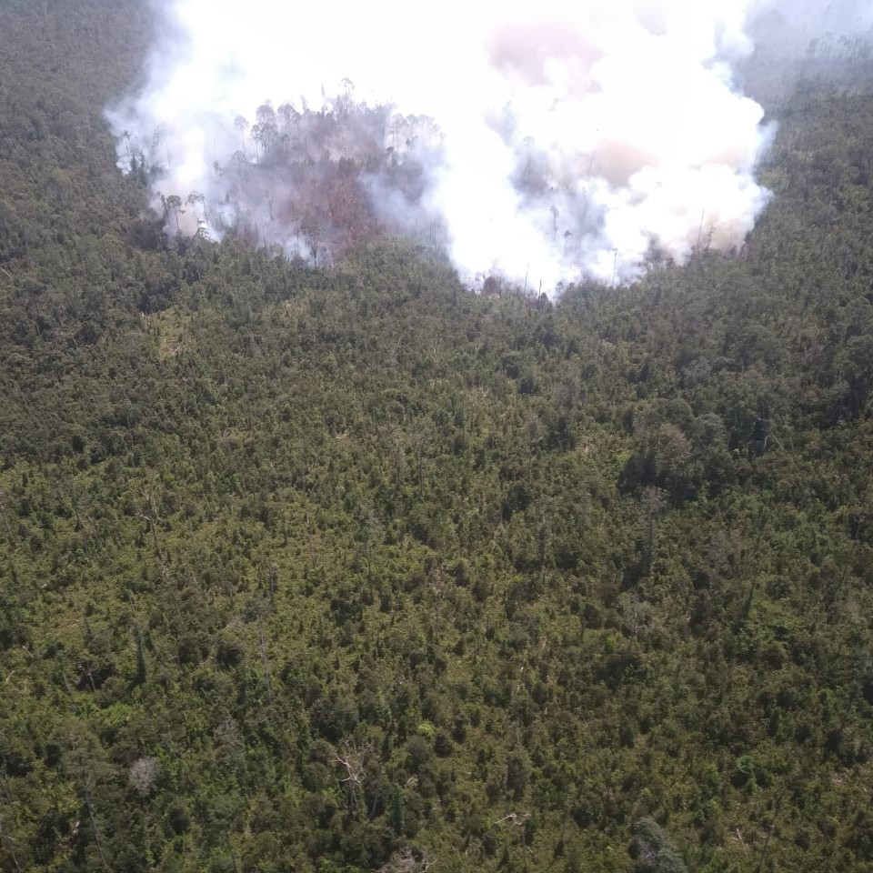 Karhutla Riau, Pemadaman dan Pendinginan Kawasan Terbakar Pulau Rupat Terus Berlangsung