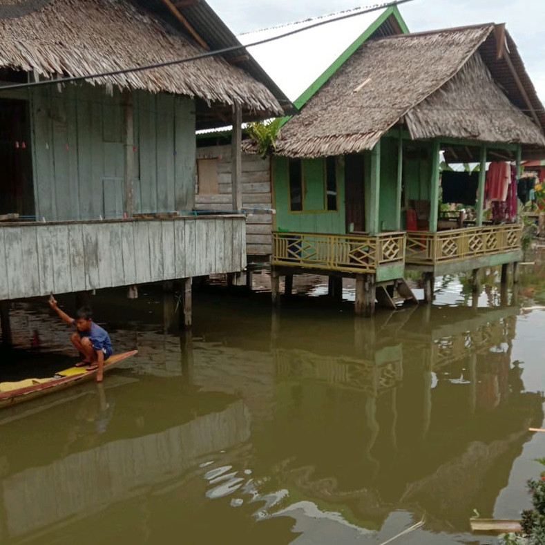 Banjir Genangi Pemukiman Warga Luwu Utara, Tak Ada Korban Jiwa