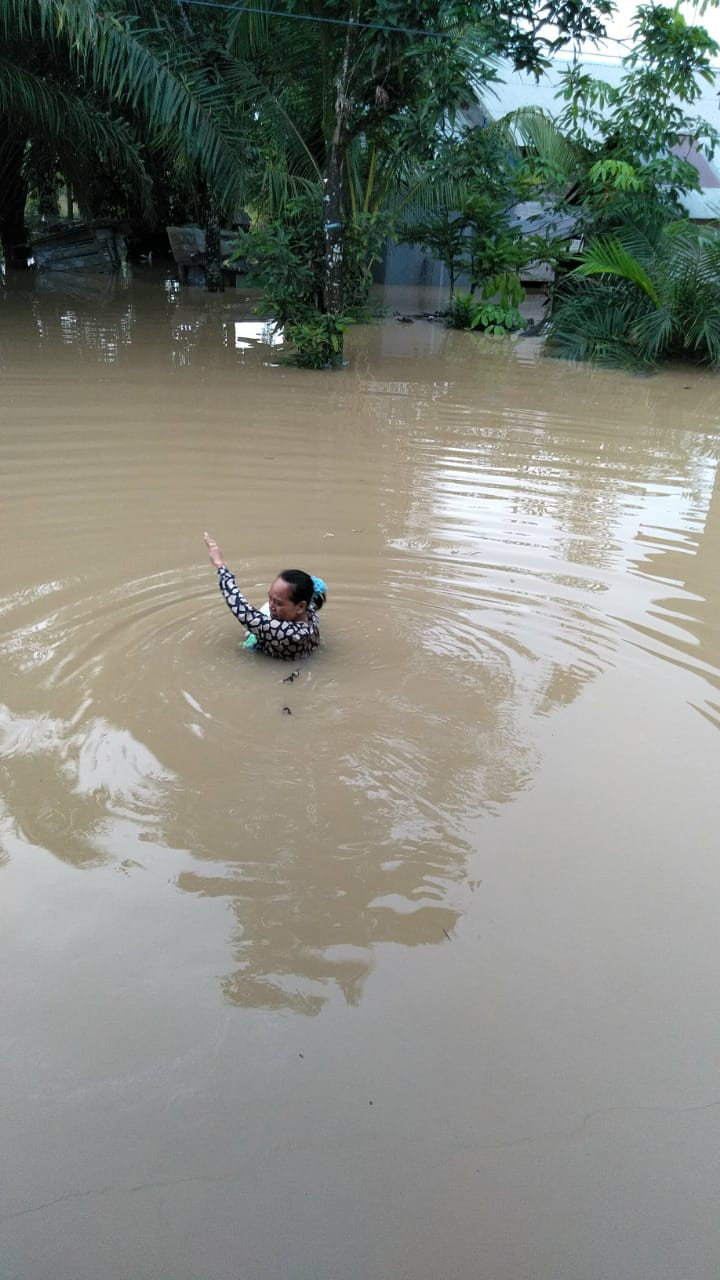 Sungai Satui dan Haruyan Meluap Akibatkan Dua Kabupaten di Kalimantan Selatan Terdampak Banjir