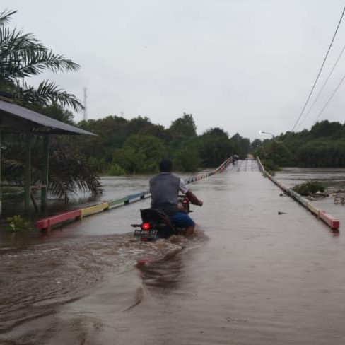 Banjir Masih Menggenang Wilayah Kabupaten Kotawaringin Timur, Tak Ada Laporan Korban Jiwa