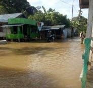 Banjir Rendam Tujuh Kecamatan di Kabupaten Katingan