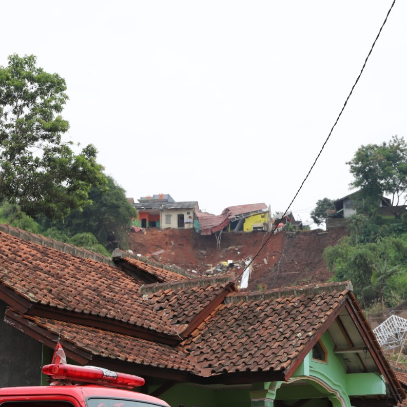 Upaya Cegah Longsor, Ka BNPB: Menanam Pohon di Kemiringan adalah Kewajiban