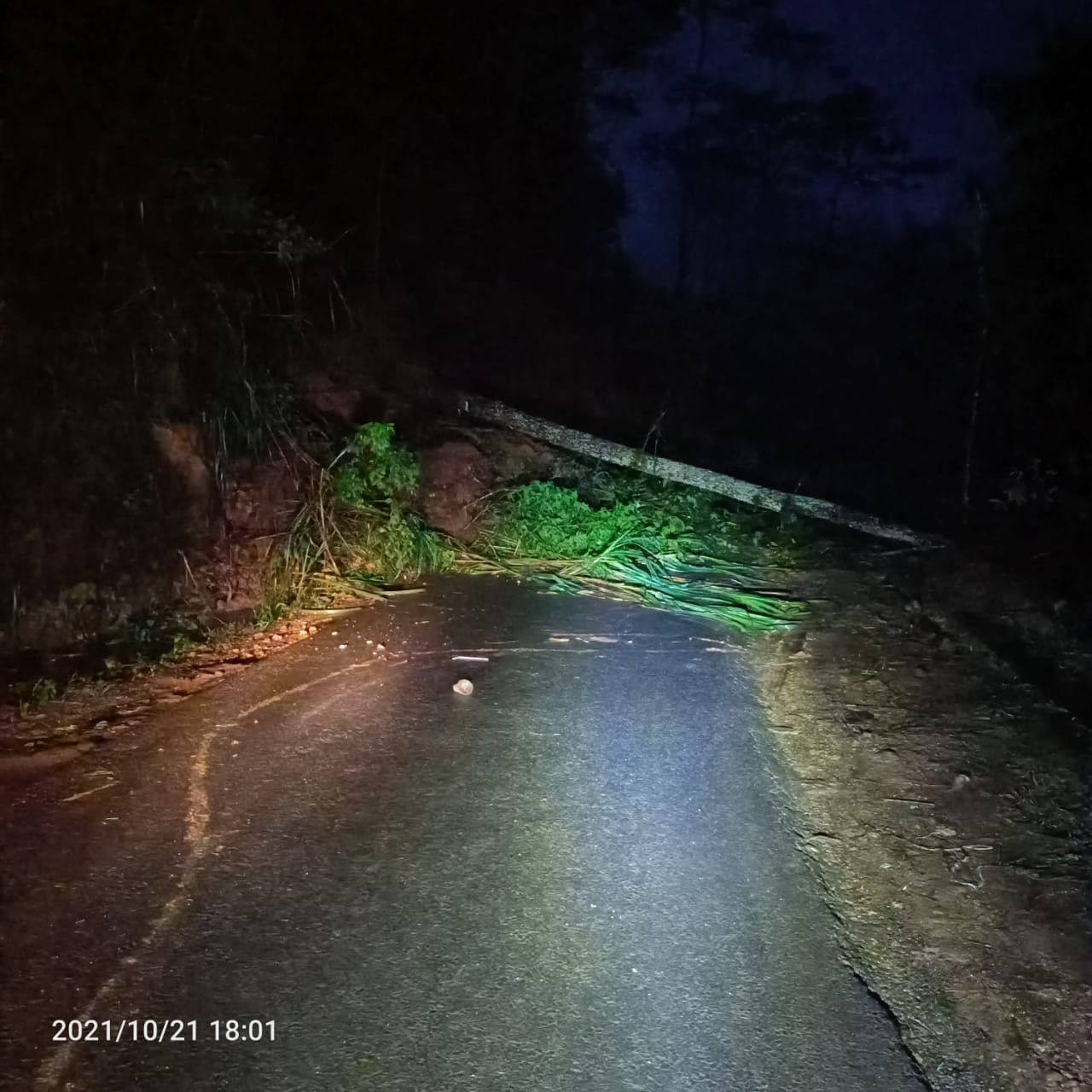 Tanah Longsor Telan Satu Korban Jiwa di Banjarnegara