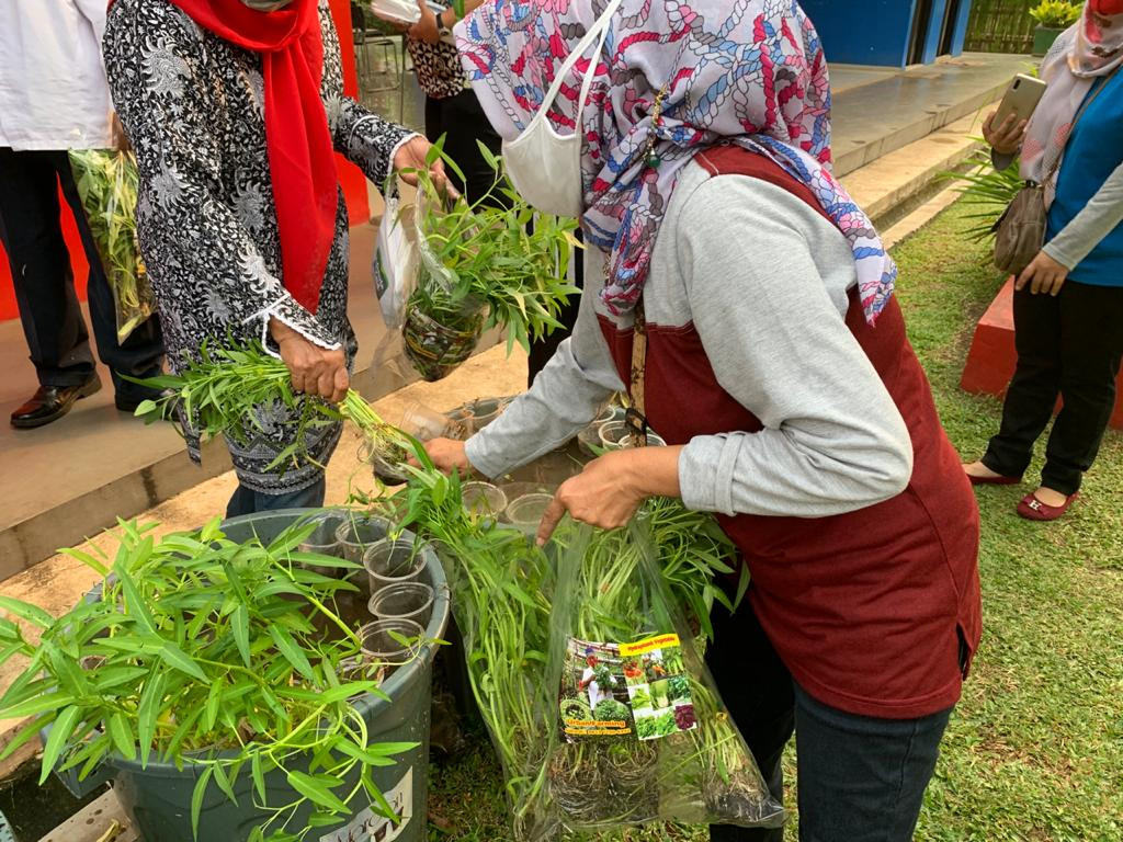 Konsumsi Sayur dan Ikan Segar, Yuk Simak Panen Warga Pesanggrahan