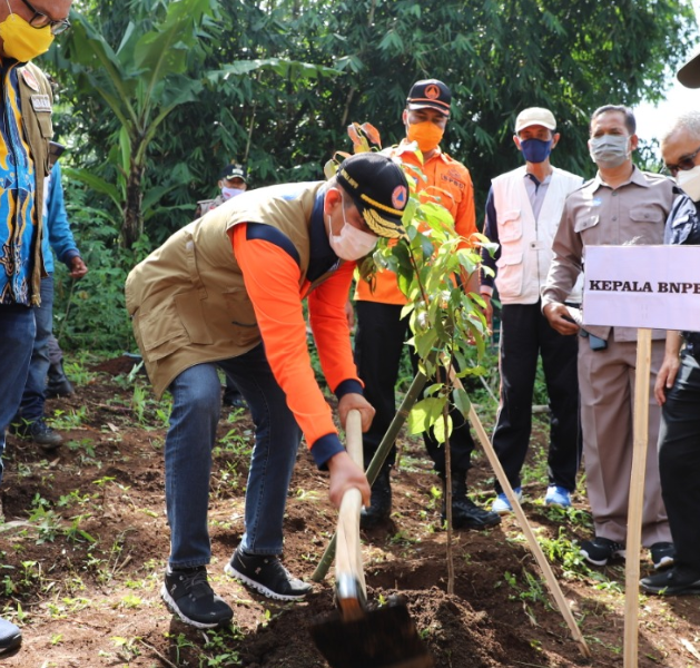 Penanaman Pohon Langkah Mitigasi dan Pencegahan Bencana Longsor