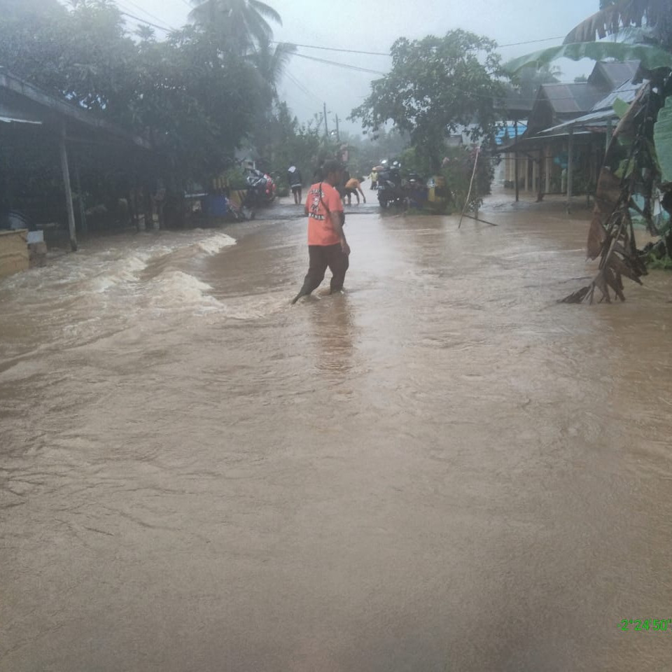 Ribuan Rumah Warga Sejumlah Kabupaten di Kalimantan Selatan Dilanda Banjir