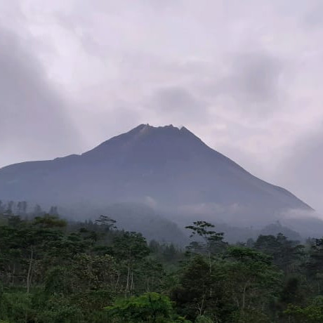 Puncak Gunung Merapi Tampak dari PGM Jrakah