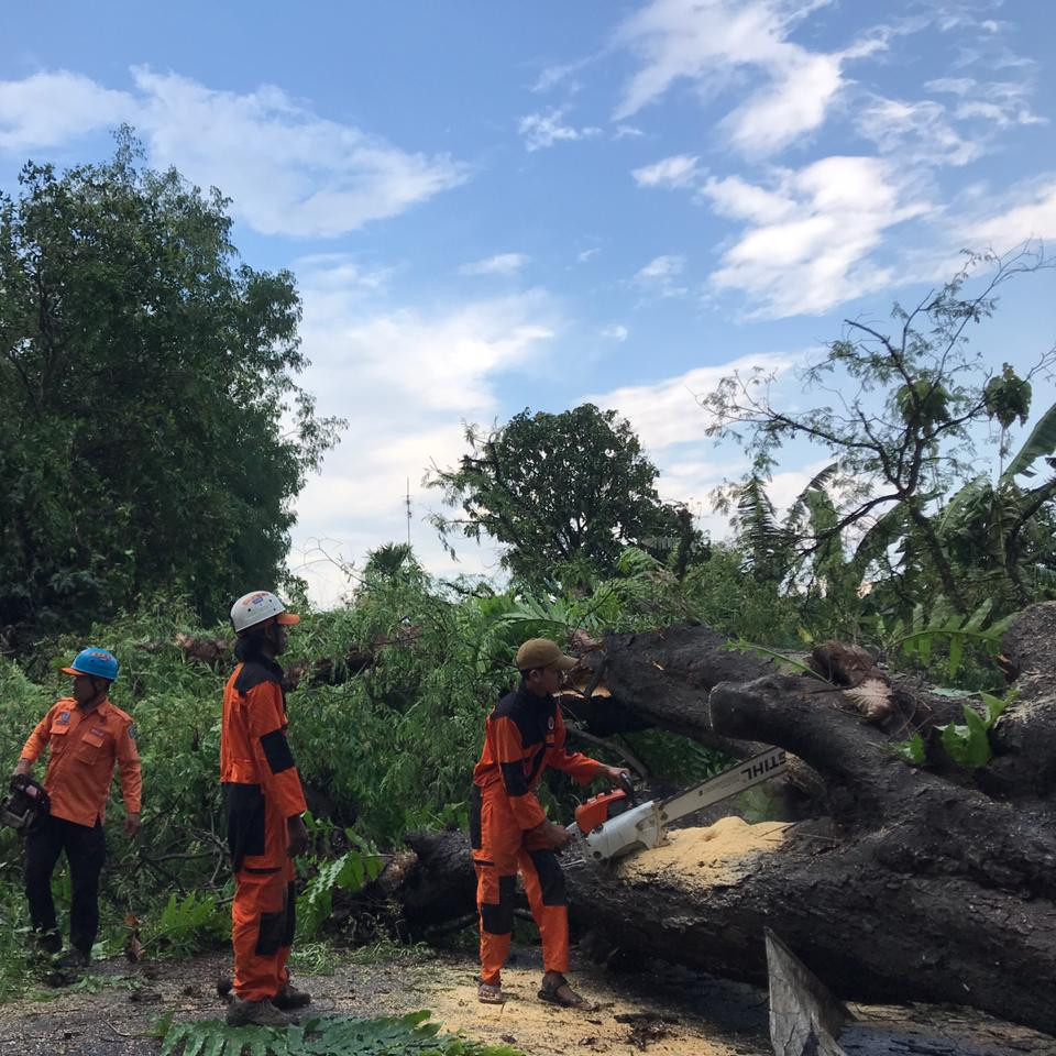 BPBD Kabupaten Maros Atasi Dampak Angin Kencang