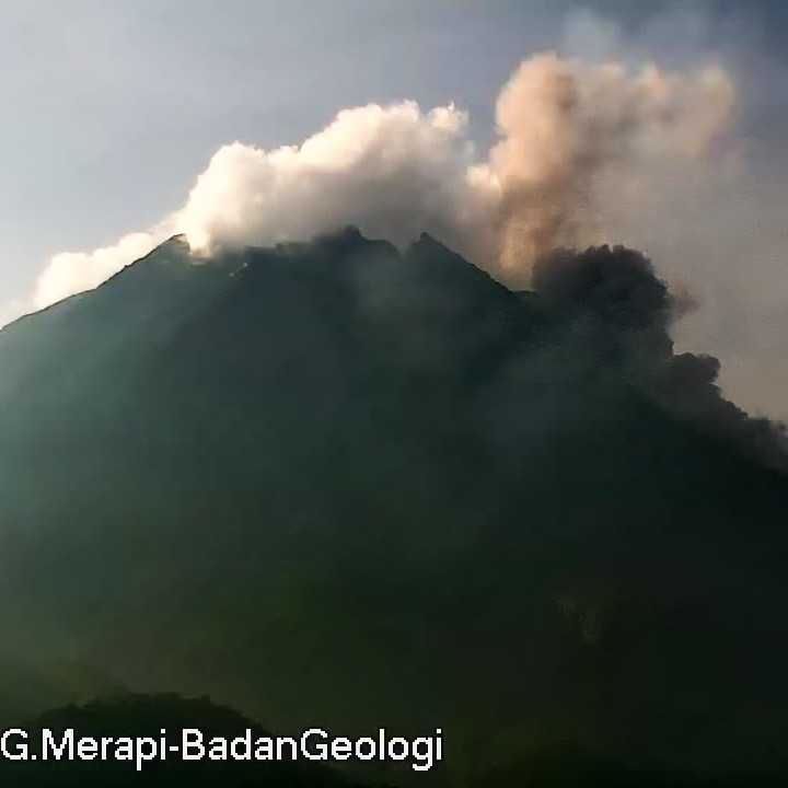 Merapi Luncurkan Awan Panas Sejauh 1.300 Meter Pagi Ini, Berikut Rangkuman Selama Sepekan