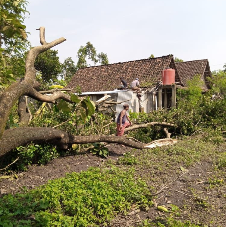 Angin Kencang Sebabkan Rumah Warga Blora Tertimpa Pohon Tumbang