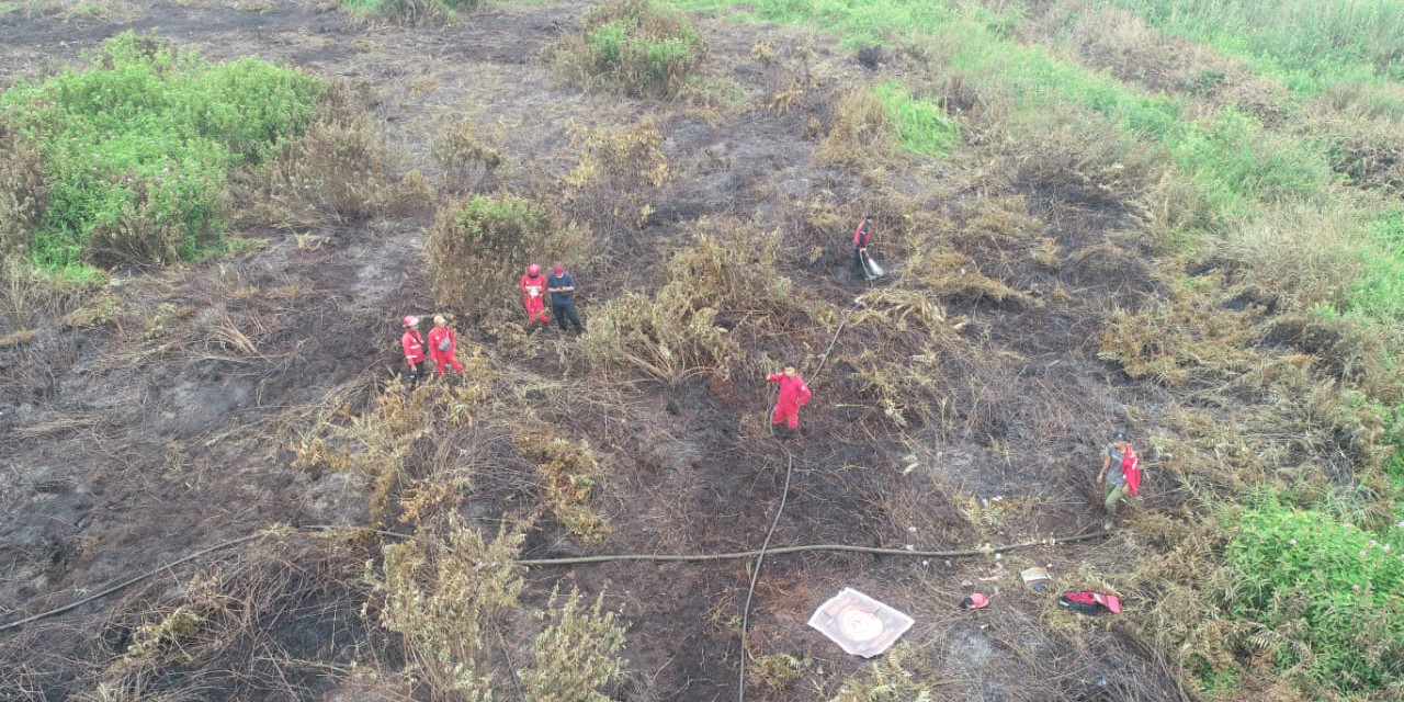 Tim Gabungan Berhasil Padamkan 5 Hektar Lahan Terbakar di Indragiri Hulu