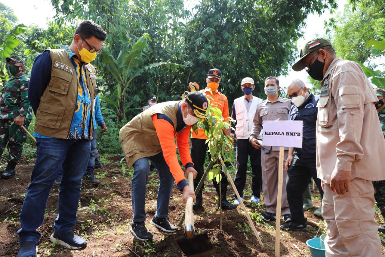 Penanaman Pohon Langkah Mitigasi dan Pencegahan Bencana Longsor